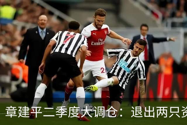 章建平二季度大调仓：退出两只资源股前十大股东，新进中际旭创第九大股东